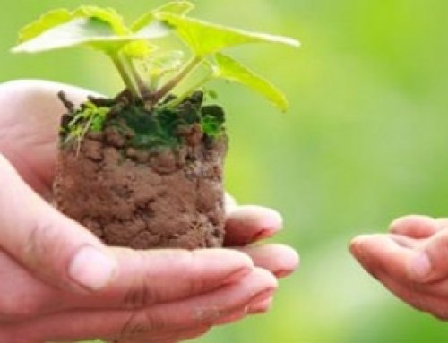 إلهام، فكرة، مبادرة…